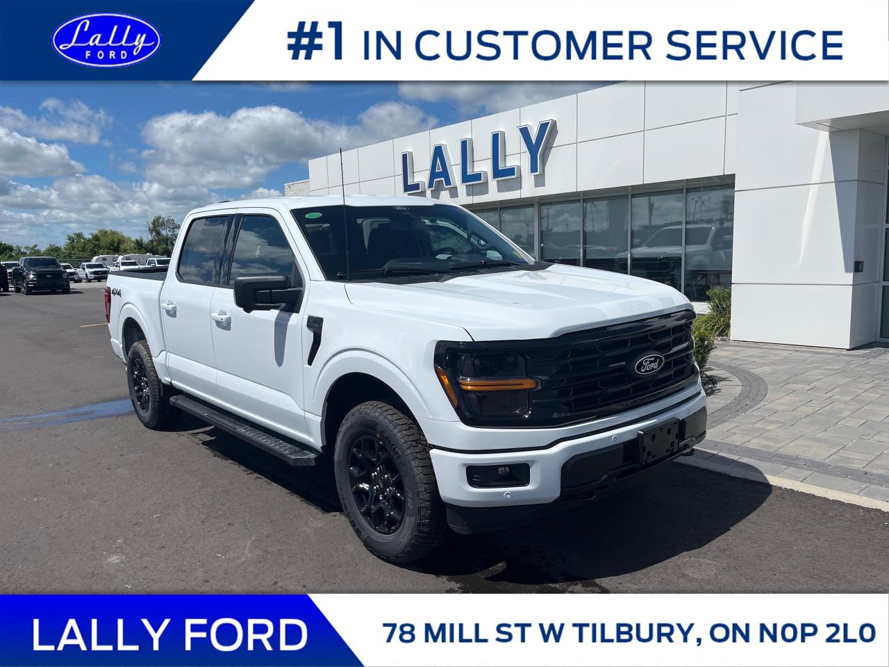 New 2025 Ford F-150 XLT for sale in Tilbury, ON