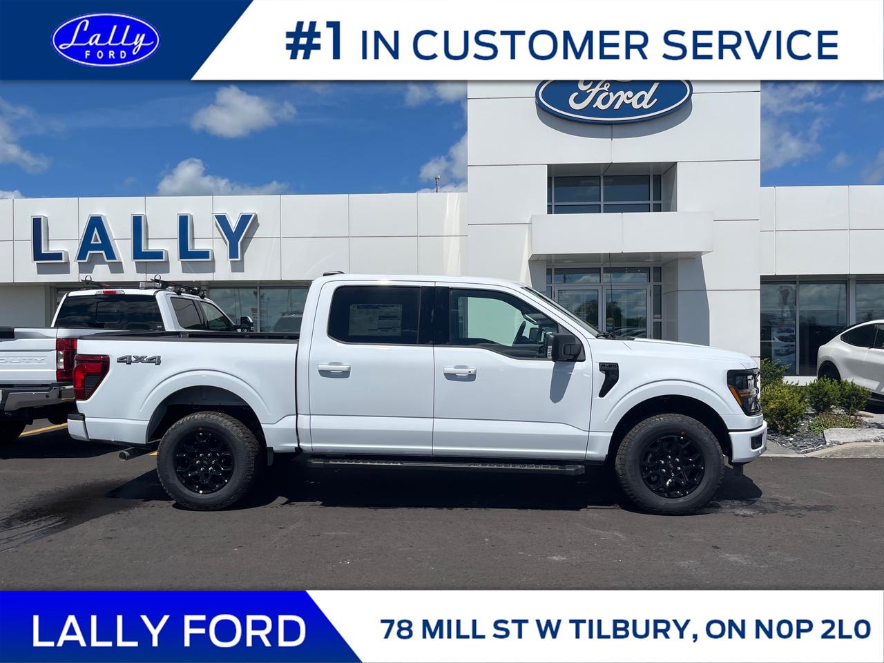 2025 Ford F-150 XLT Photo