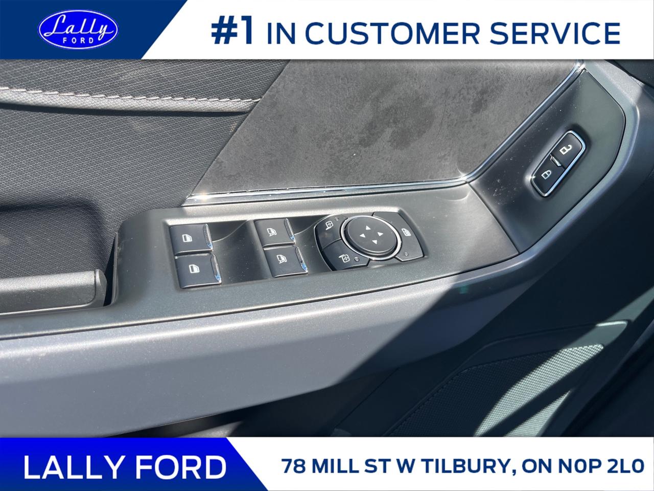 2025 Ford F-150 XLT Photo