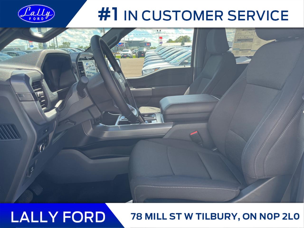 2025 Ford F-150 XLT Photo