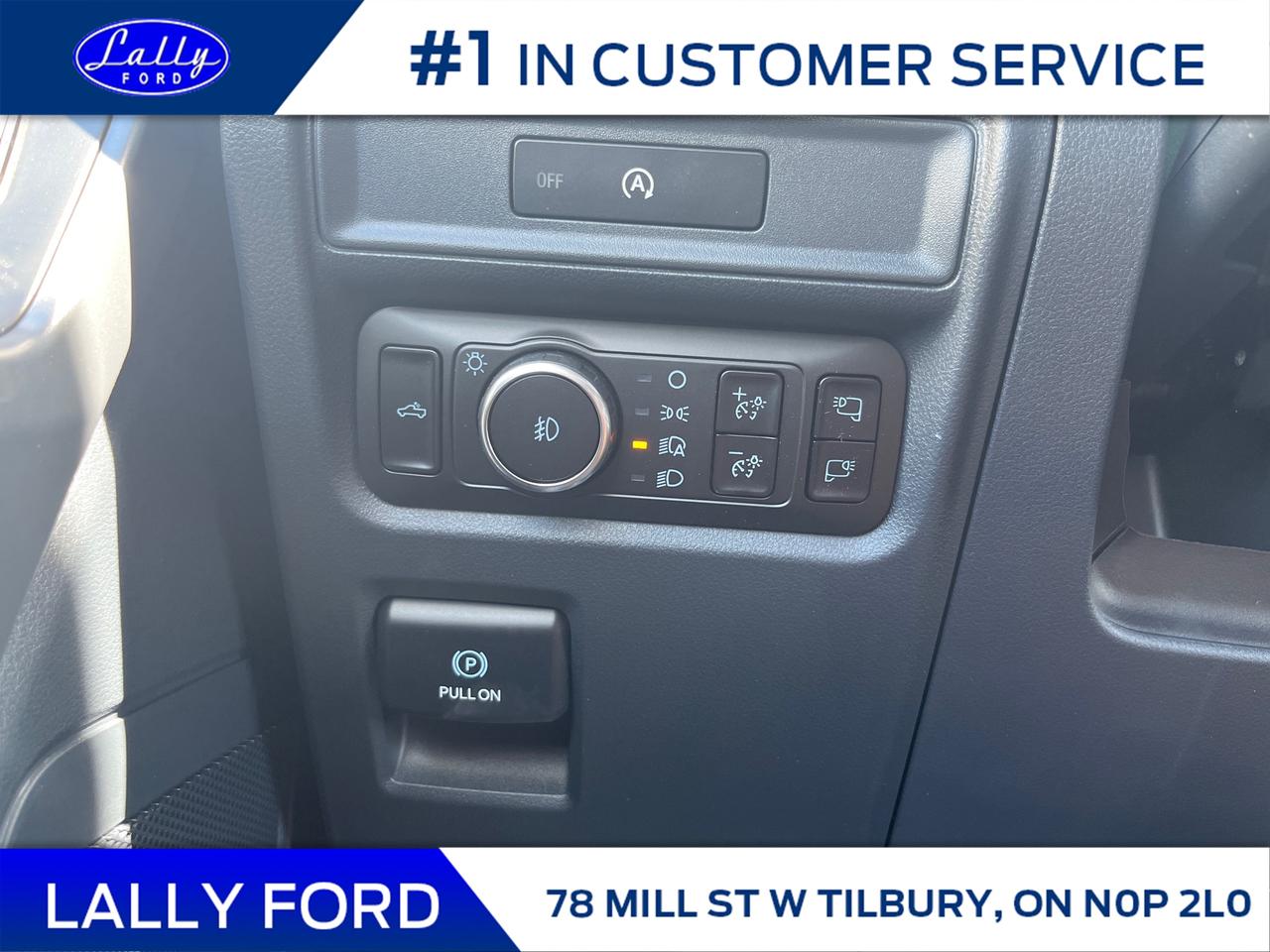 2025 Ford F-150 XLT Photo