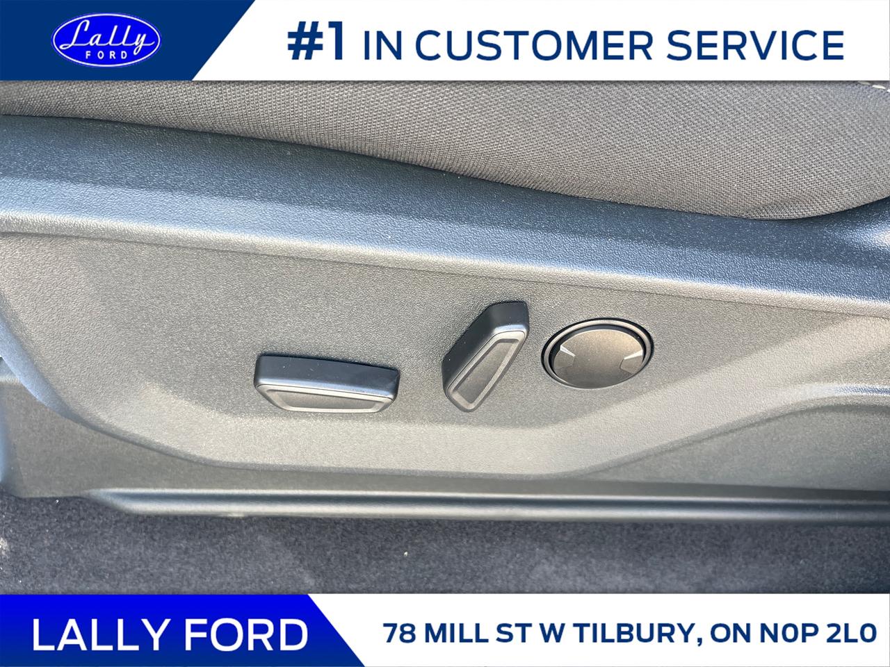 2025 Ford F-150 XLT Photo