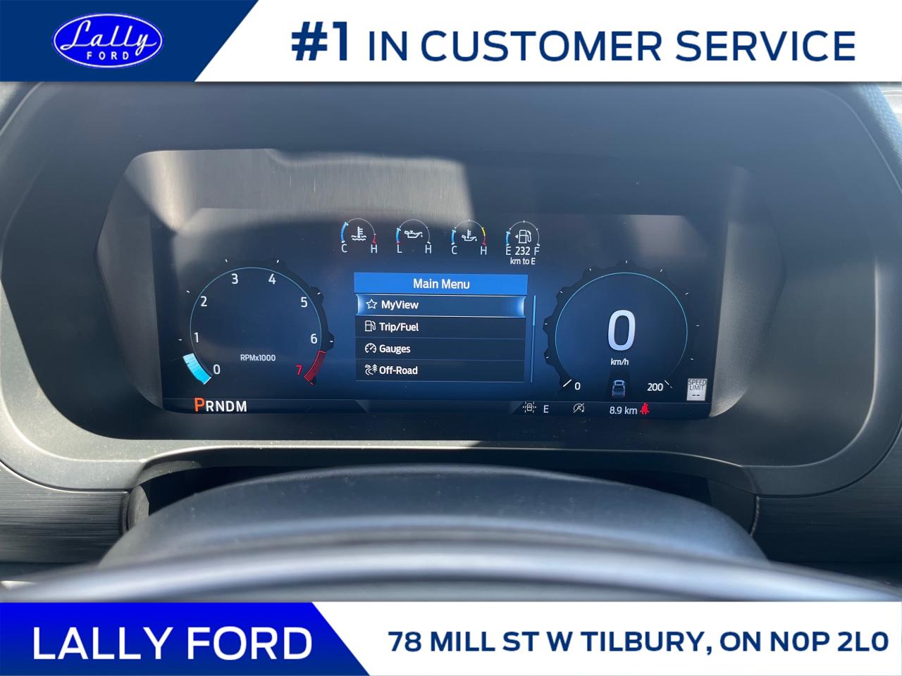 2025 Ford F-150 XLT Photo