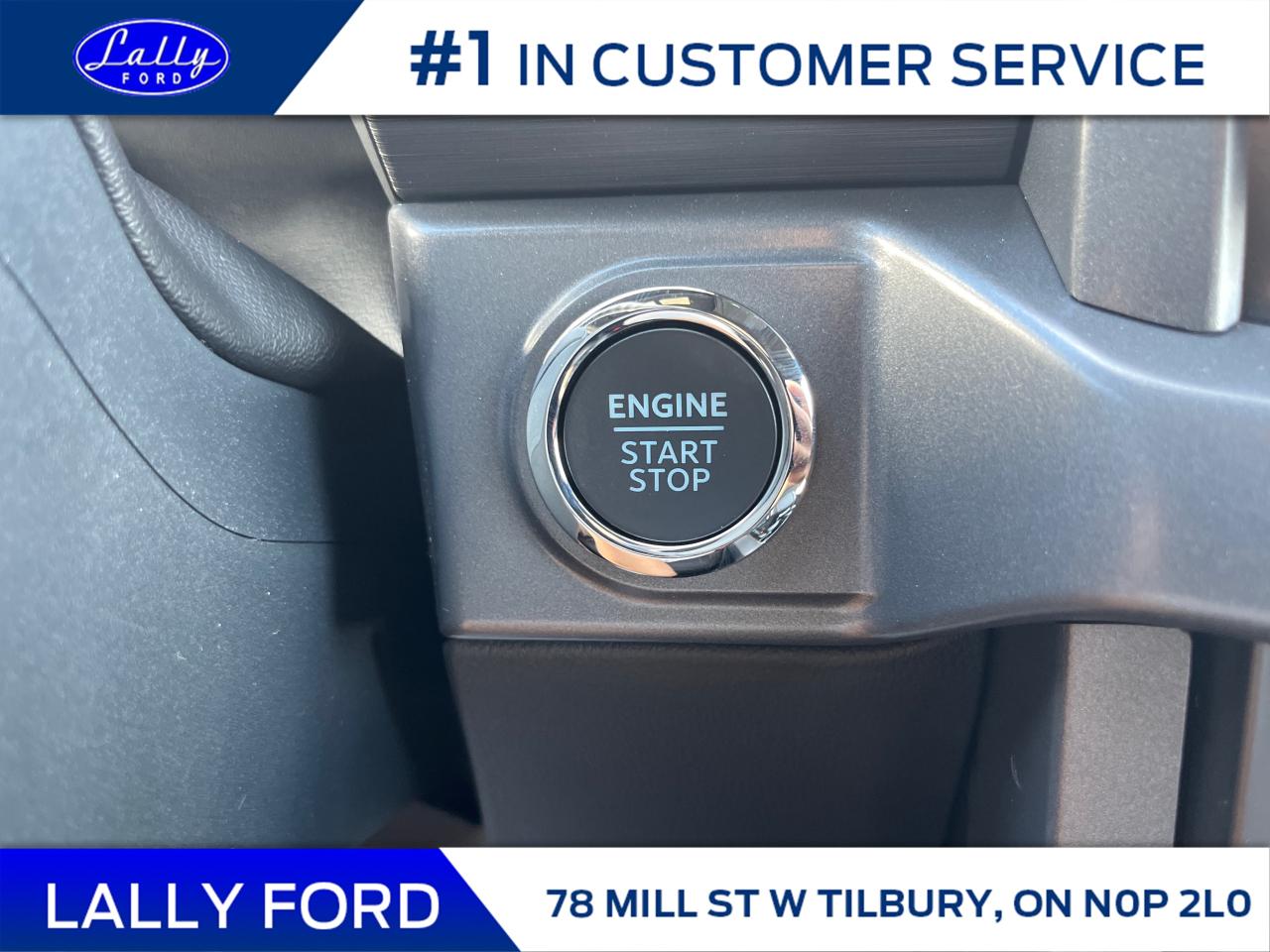 2025 Ford F-150 XLT Photo