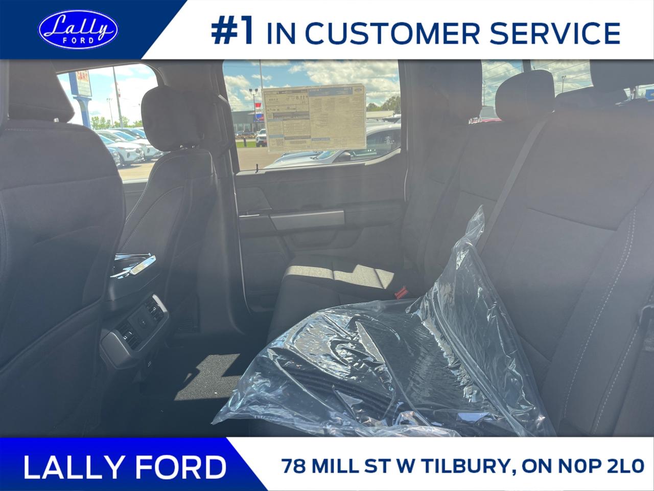 2025 Ford F-150 XLT Photo