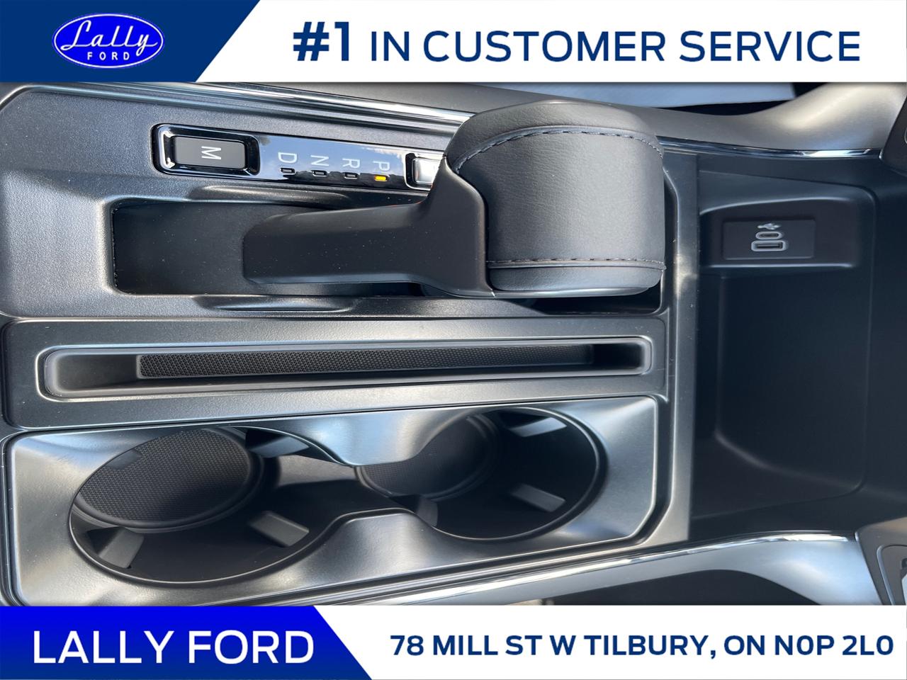 2025 Ford F-150 XLT Photo