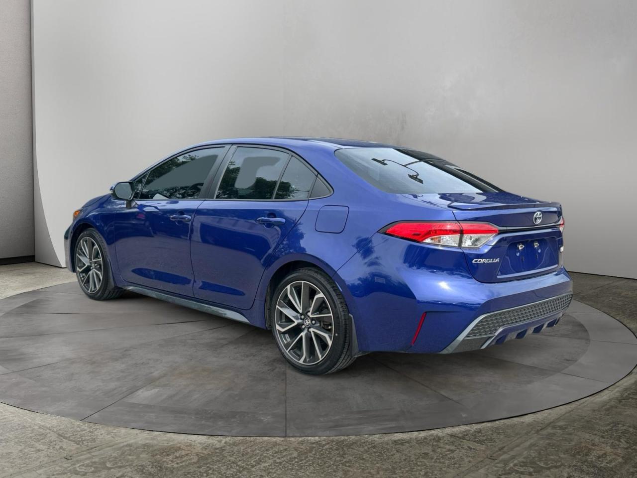 2020 Toyota Corolla SE Photo