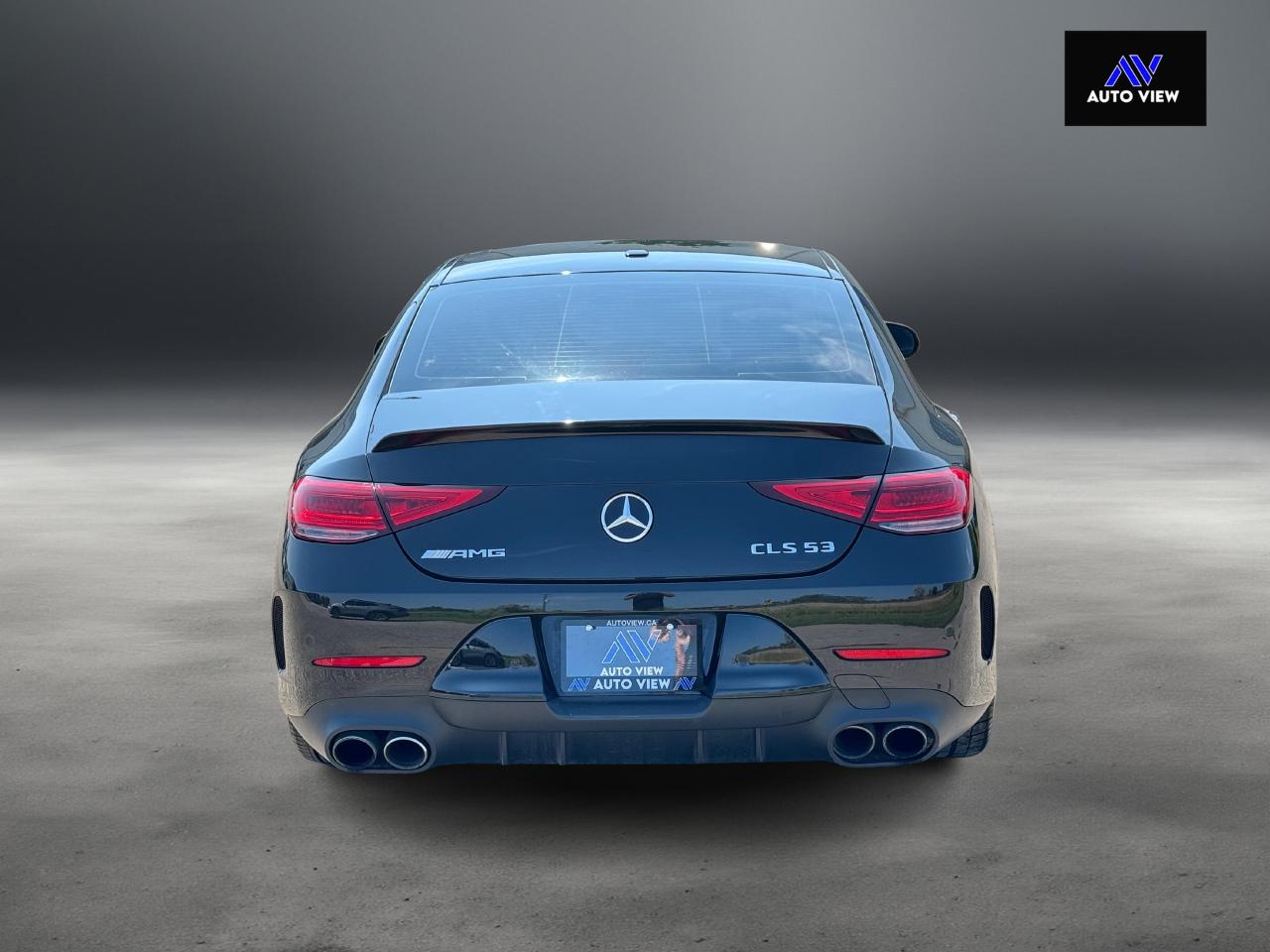 2019 Mercedes-Benz CLS-Class AMG CLS 53 **CLEAN CARFAX** - Photo #6