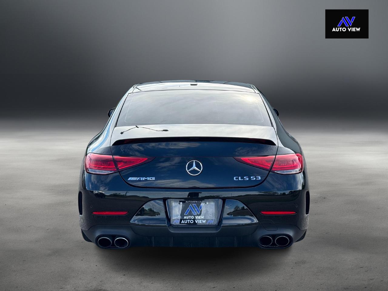 2019 Mercedes-Benz CLS-Class AMG CLS 53 **CLEAN CARFAX** - Photo #6