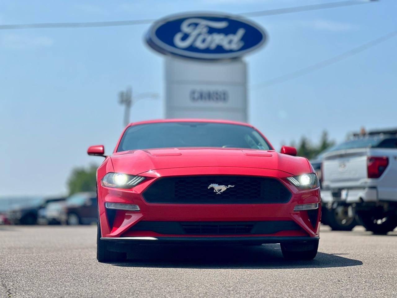 2019 Ford Mustang ECOBOOST FASTBACK W/ MANUAL / 1 OWNER Photo1