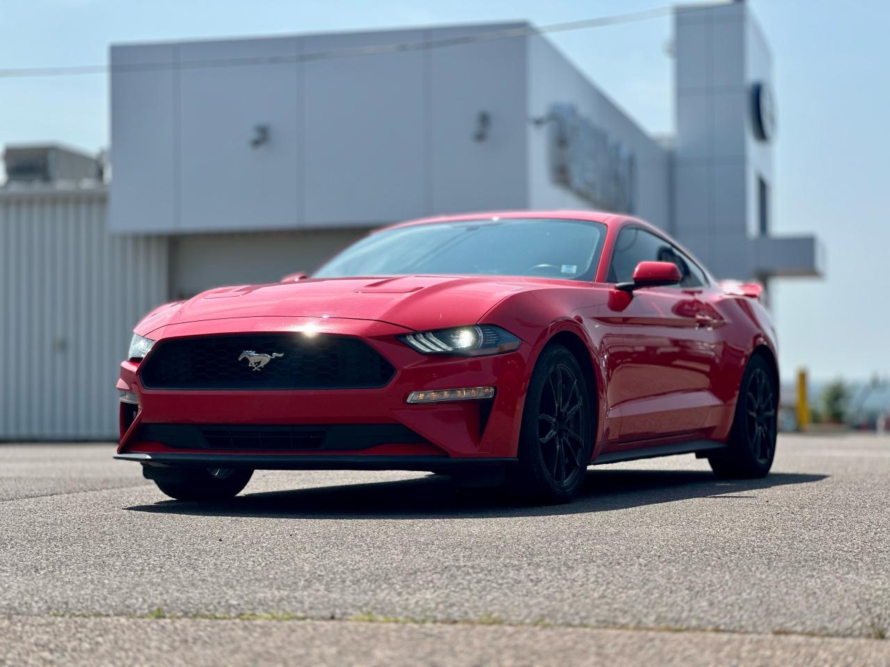 2019 Ford Mustang ECOBOOST FASTBACK W/ MANUAL / 1 OWNER Photo