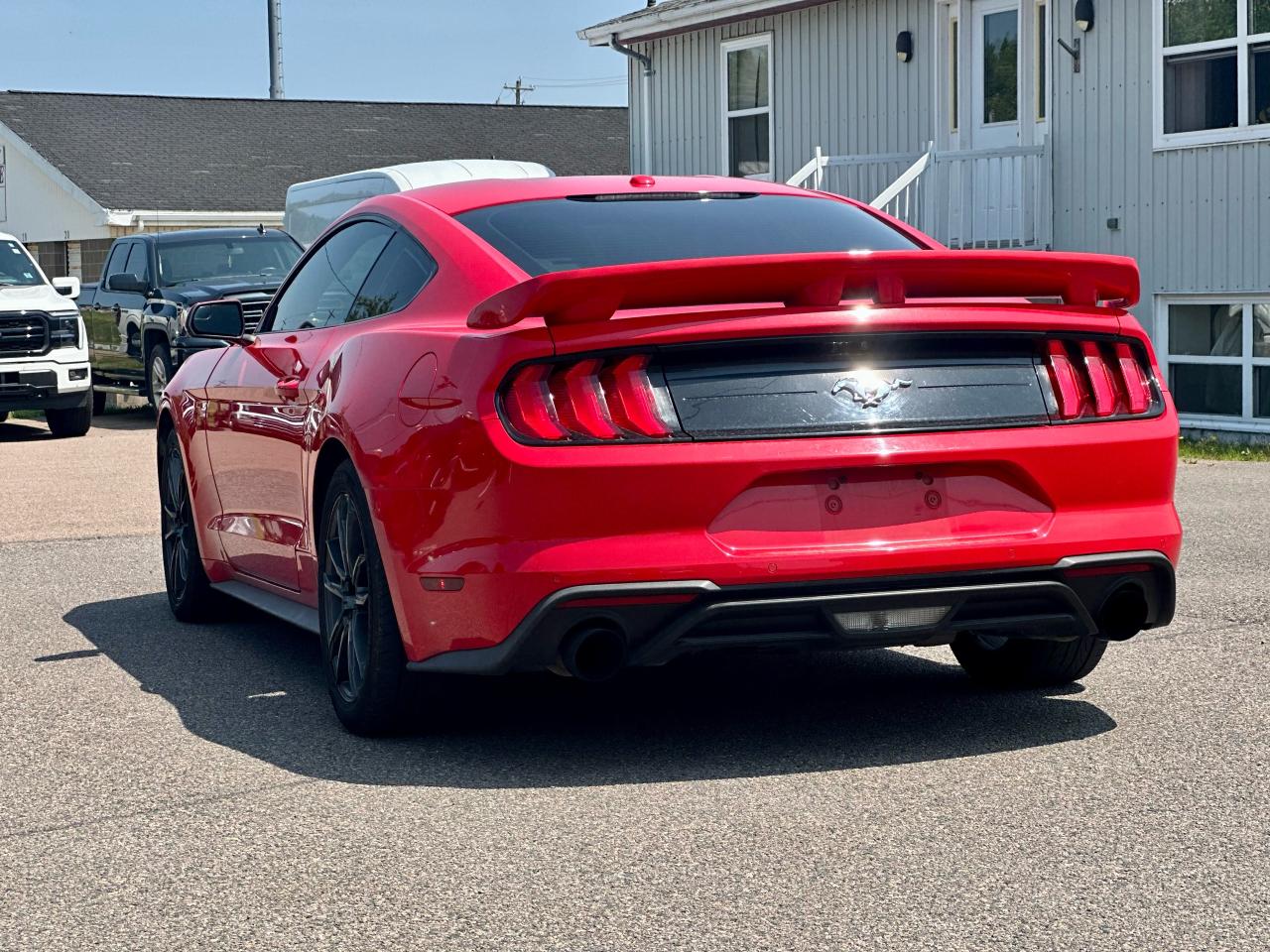 2019 Ford Mustang ECOBOOST FASTBACK W/ MANUAL / 1 OWNER Photo4