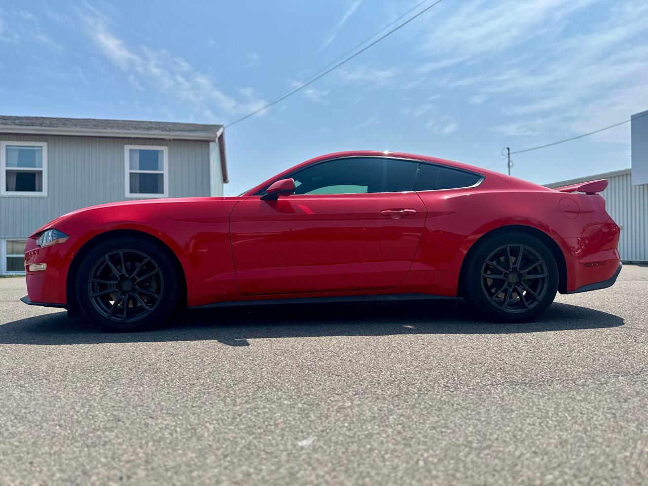 2019 Ford Mustang ECOBOOST FASTBACK W/ MANUAL / 1 OWNER Photo3