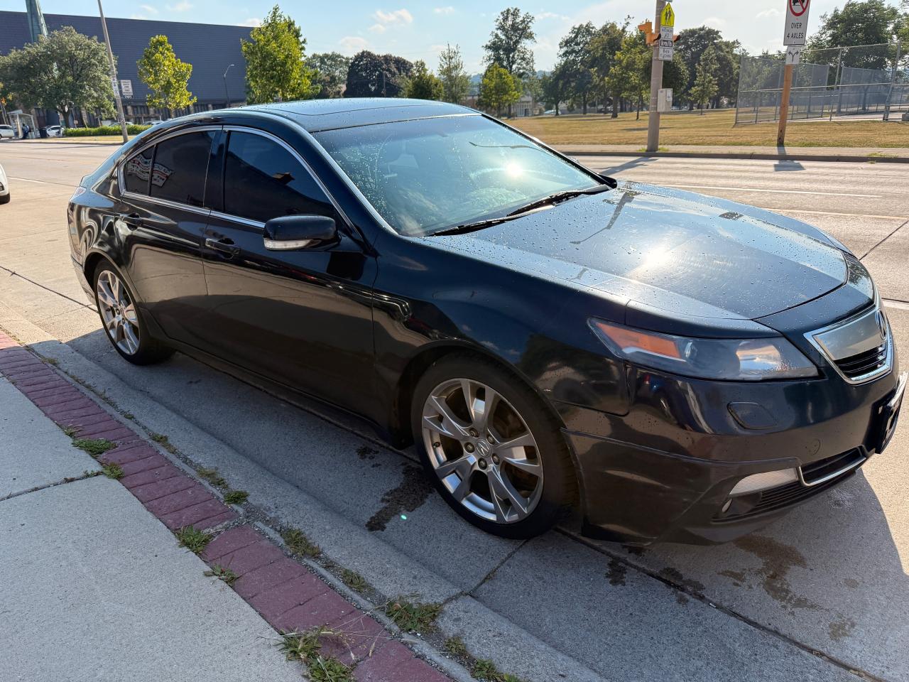 2012 Acura TL 4dr Sdn Auto SH-AWD w/Elite Pkg - Photo #6