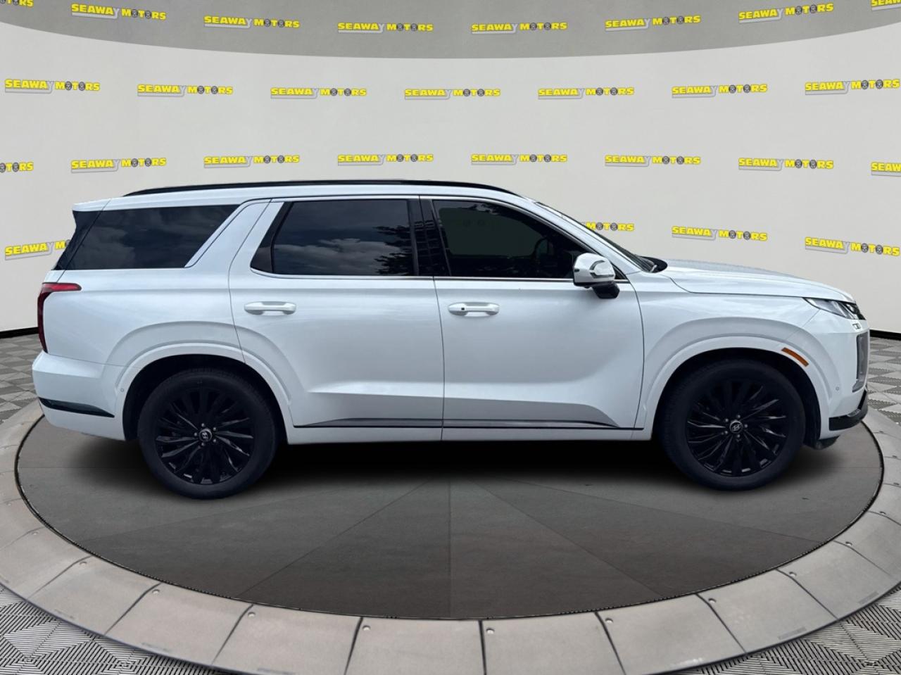 2025 Hyundai PALISADE Ultimate Calligraphy Night Edition - Photo #2