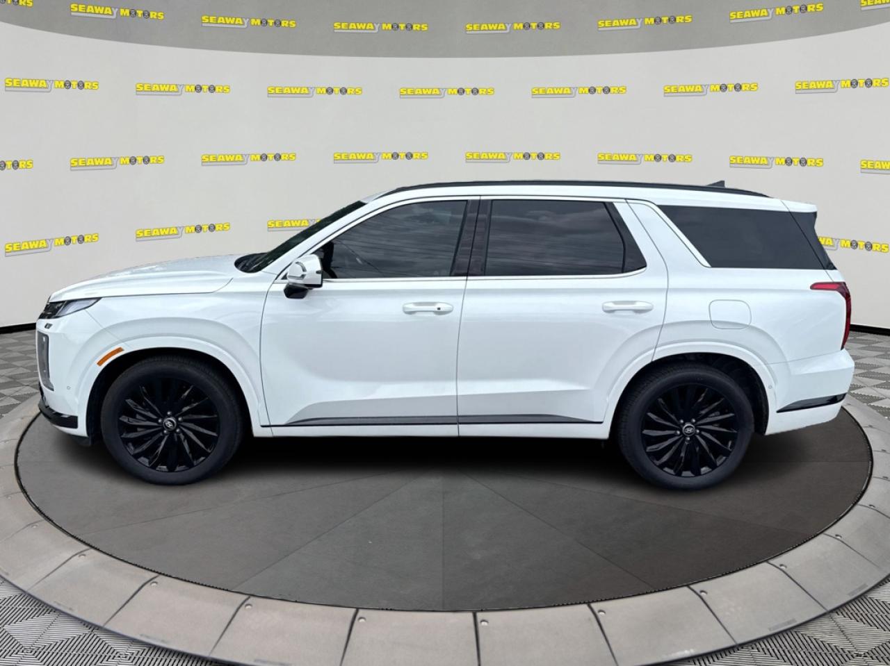 2025 Hyundai PALISADE Ultimate Calligraphy Night Edition - Photo #6