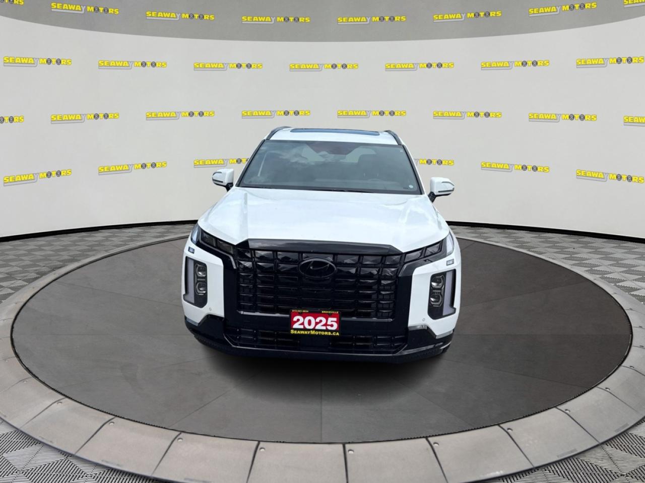 2025 Hyundai PALISADE Ultimate Calligraphy Night Edition - Photo #7