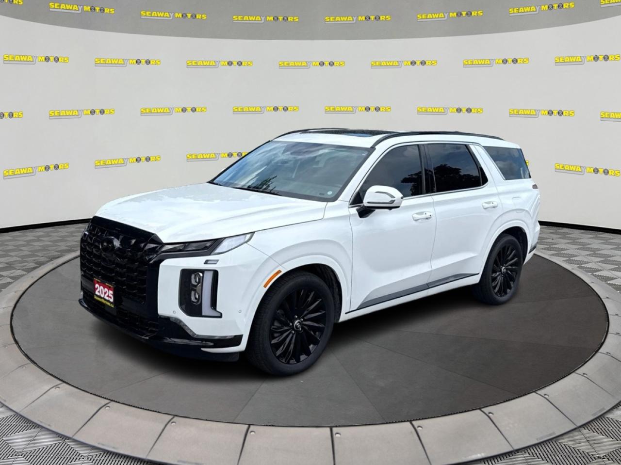 2025 Hyundai PALISADE Ultimate Calligraphy Night Edition - Photo #8