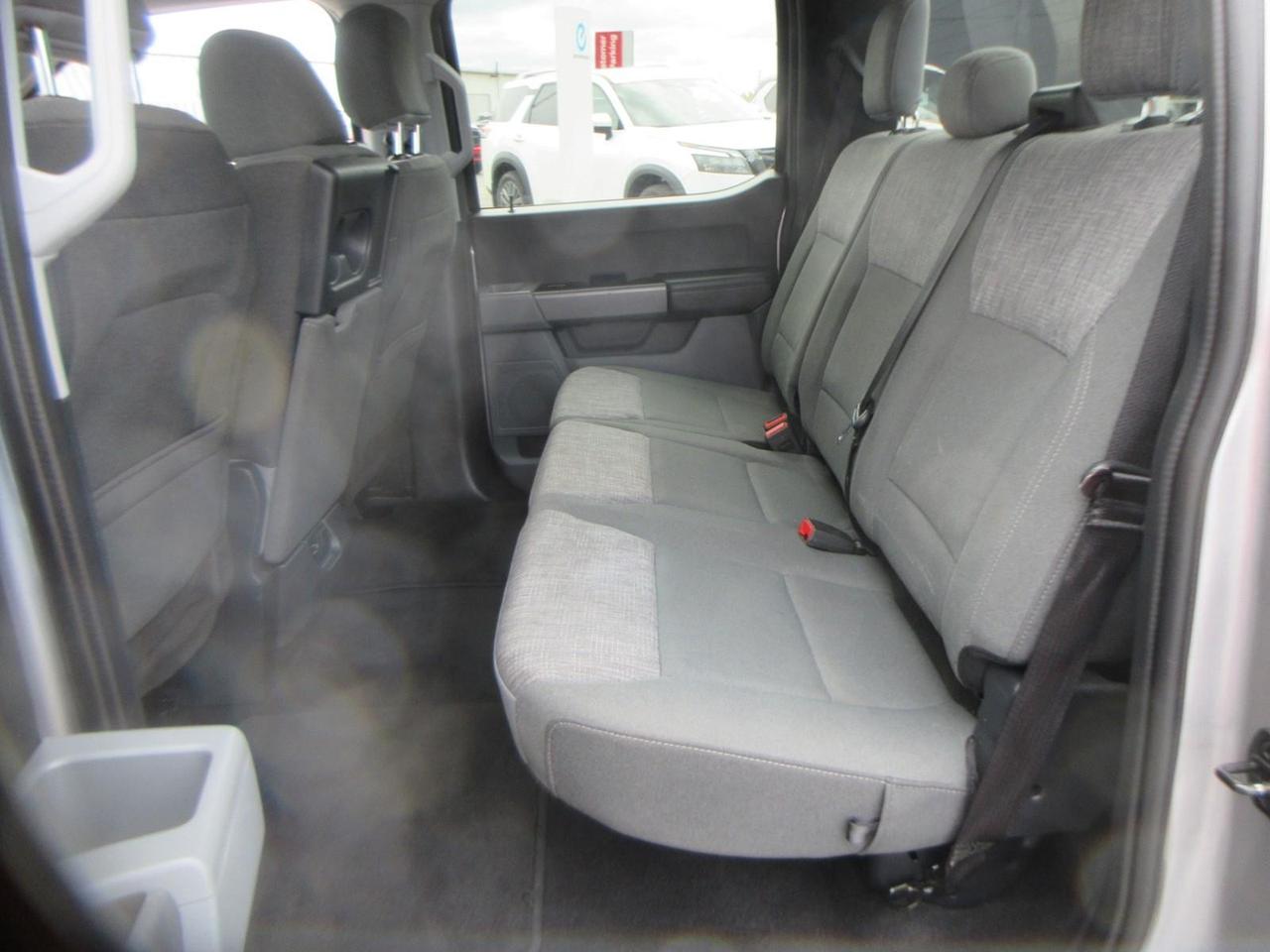 2023 Ford F-150 XL Photo