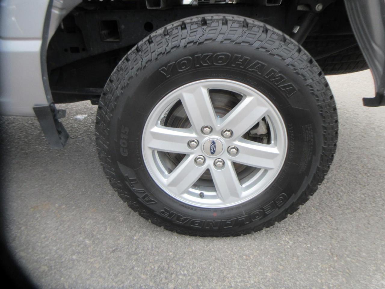 2023 Ford F-150 XL Photo