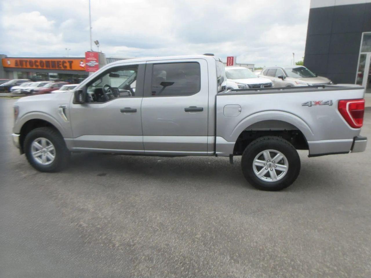 2023 Ford F-150 XL Photo