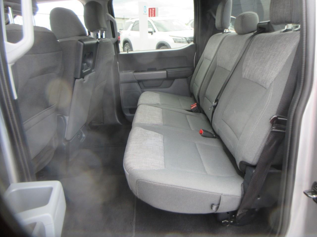 2023 Ford F-150 XL Photo