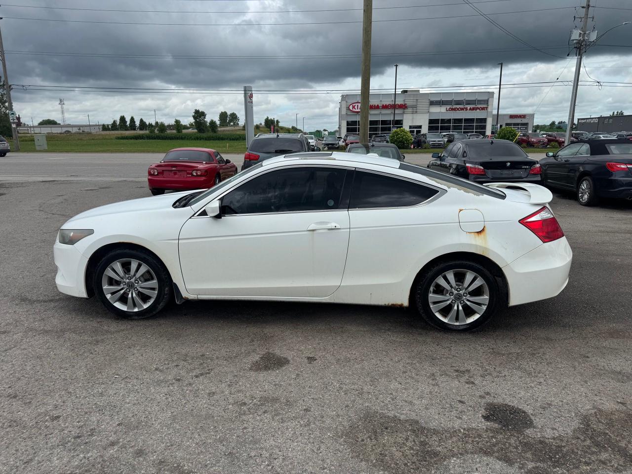 2009 Honda Accord EX-L, LEATHER, 4 CYL, ONLY 192KMS, AS IS SPECIAL - Photo #2