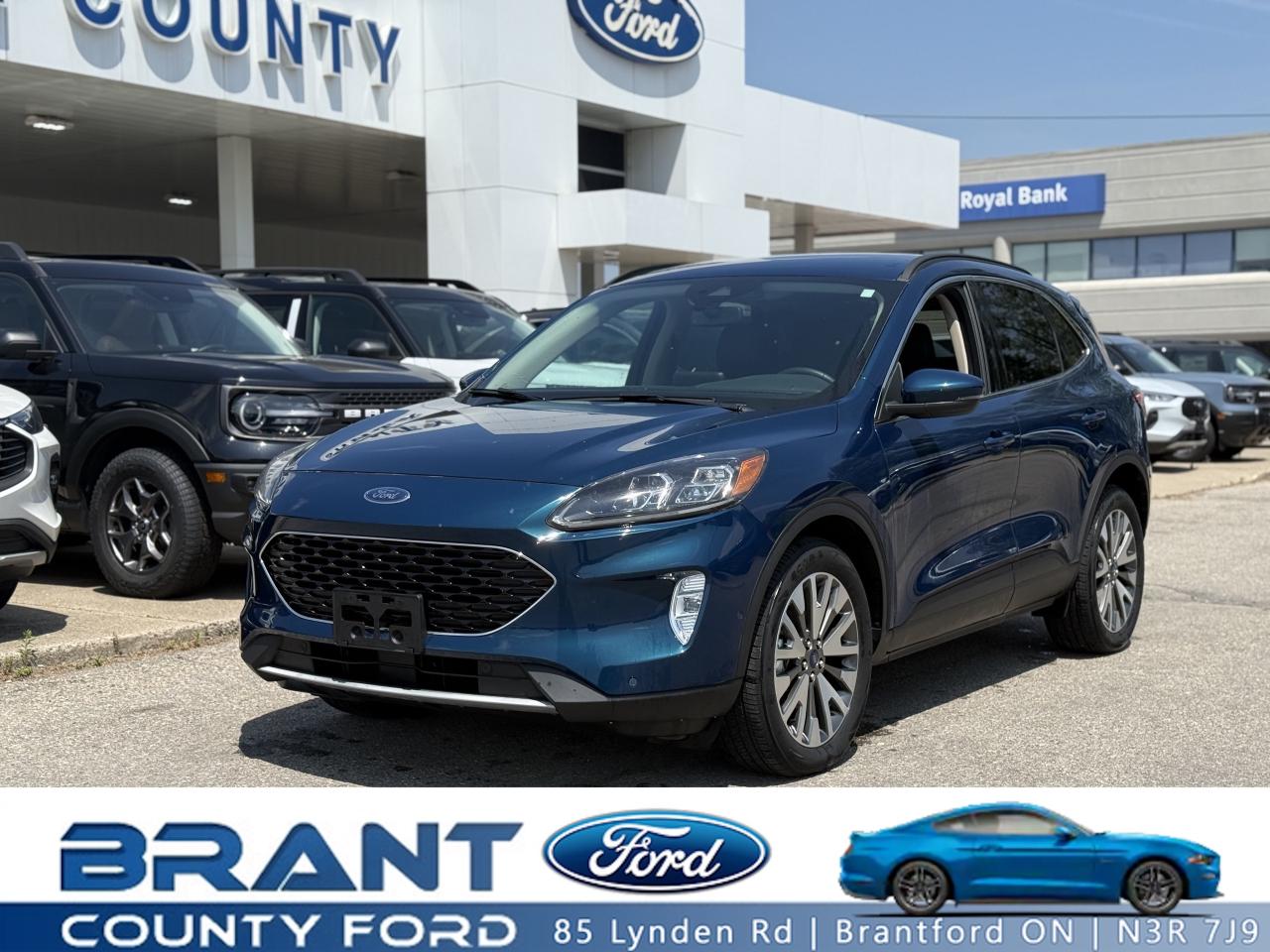 Used 2020 Ford Escape Titanium Hybrid for sale in Brantford, ON
