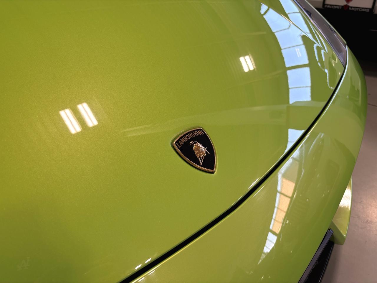 2010 Lamborghini Gallardo Spyder|LP560-4|V10|AWD|NO LUX TAX|CONVERTIBLE|+++ - Photo #4
