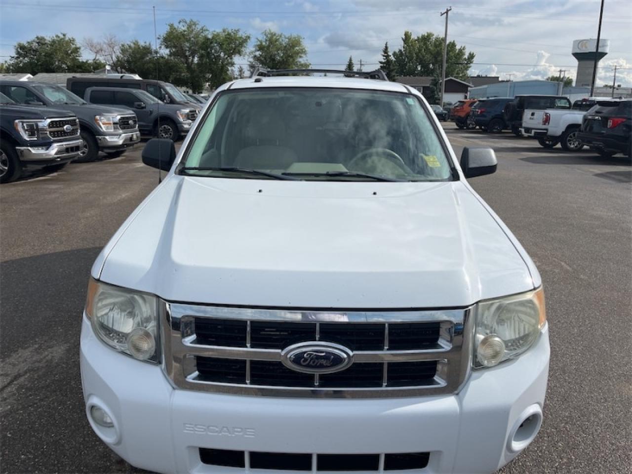 2008 Ford Escape XLT Photo