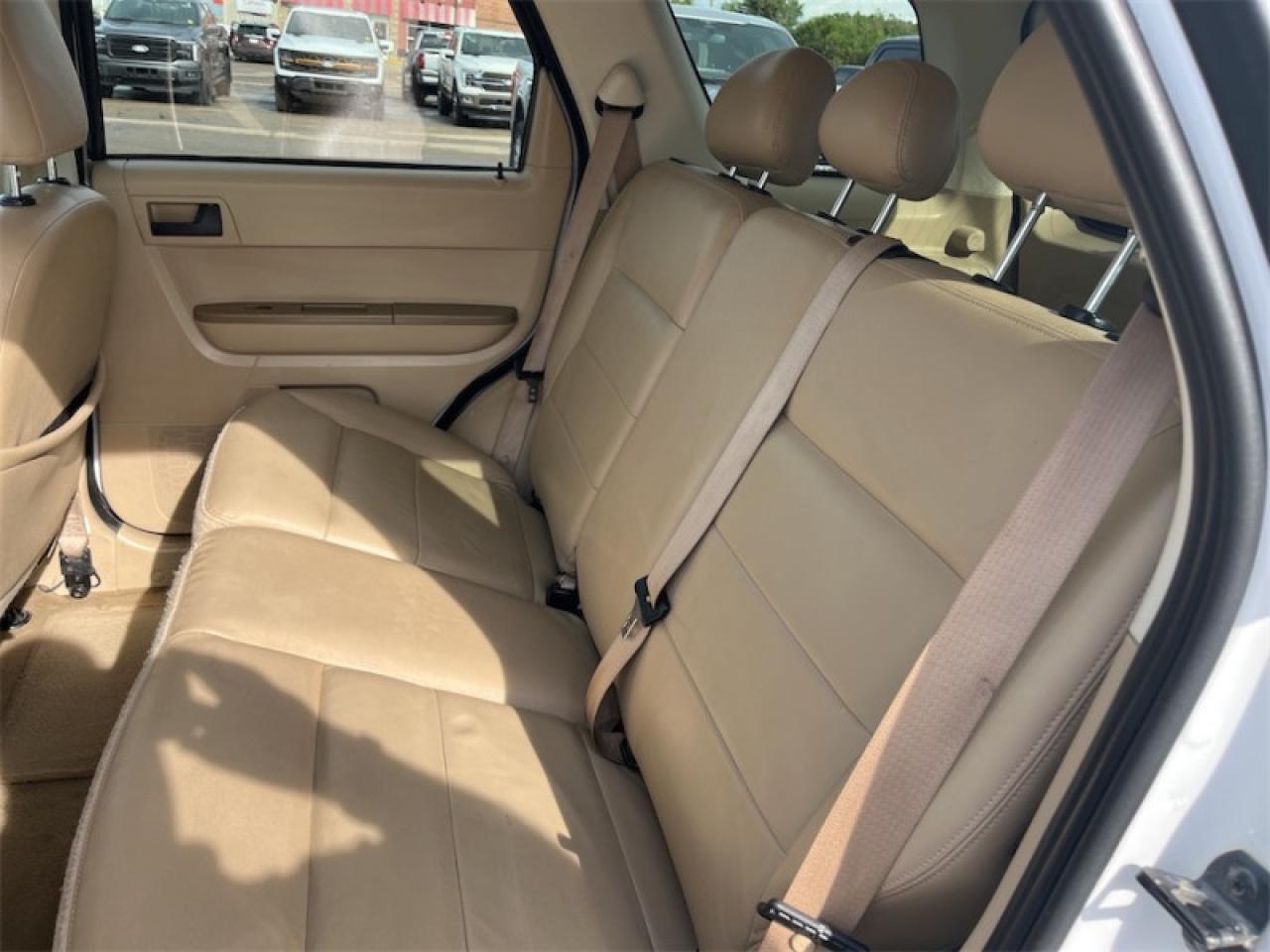 2008 Ford Escape XLT Photo5