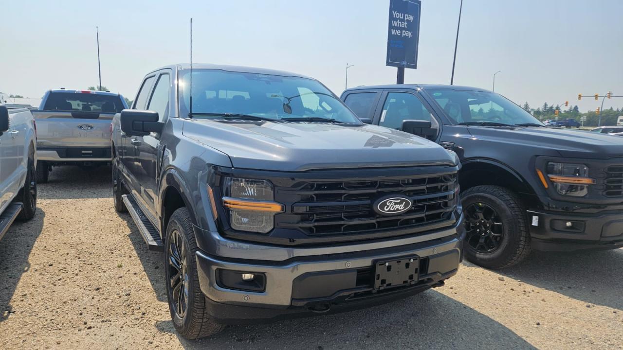 2025 Ford F-150 XLT 4WD SuperCrew 6.5' Box 303A Photo1