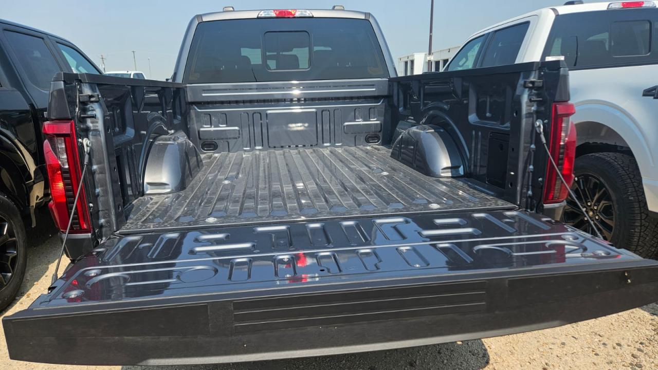 2025 Ford F-150 XLT 4WD SuperCrew 6.5' Box 303A Photo