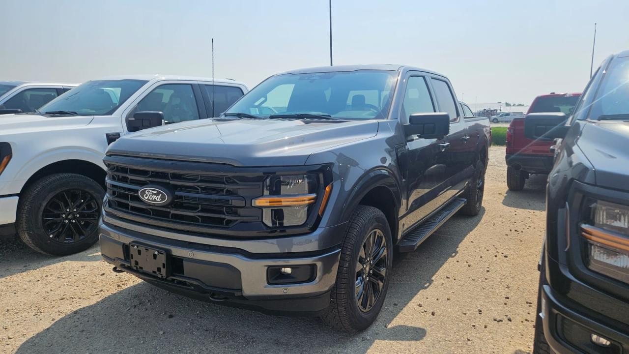 2025 Ford F-150 XLT 4WD SuperCrew 6.5' Box 303A Photo0