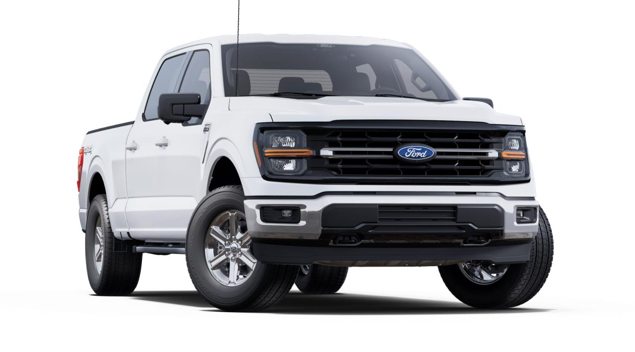 2025 Ford F-150 4x4 Supercrew-157 Photo3