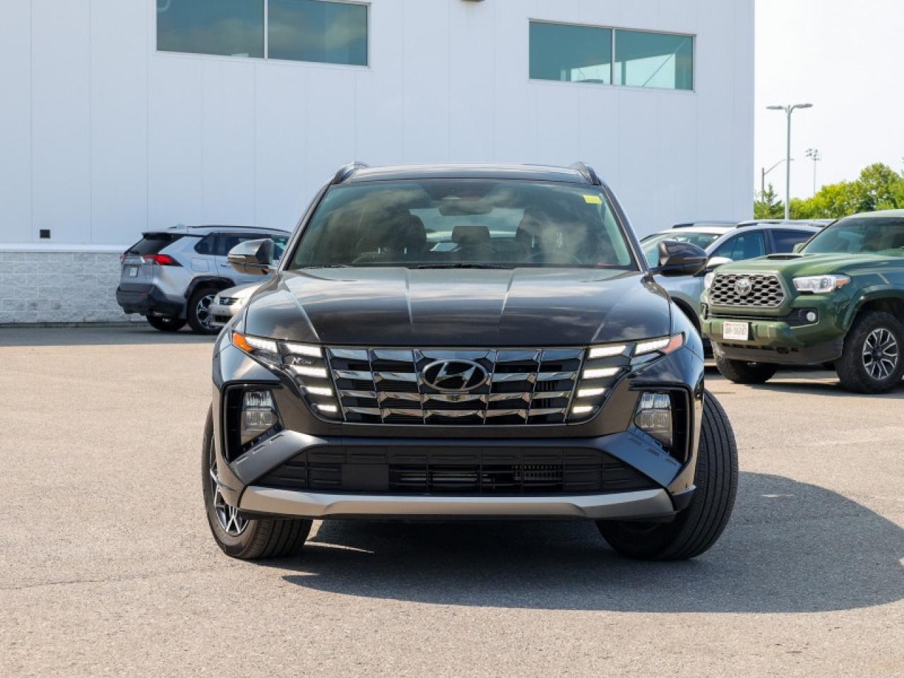 2024 Hyundai Tucson Hybrid N-Line  - Sunroof -  Cooled Seats - $247 B/W Photo
