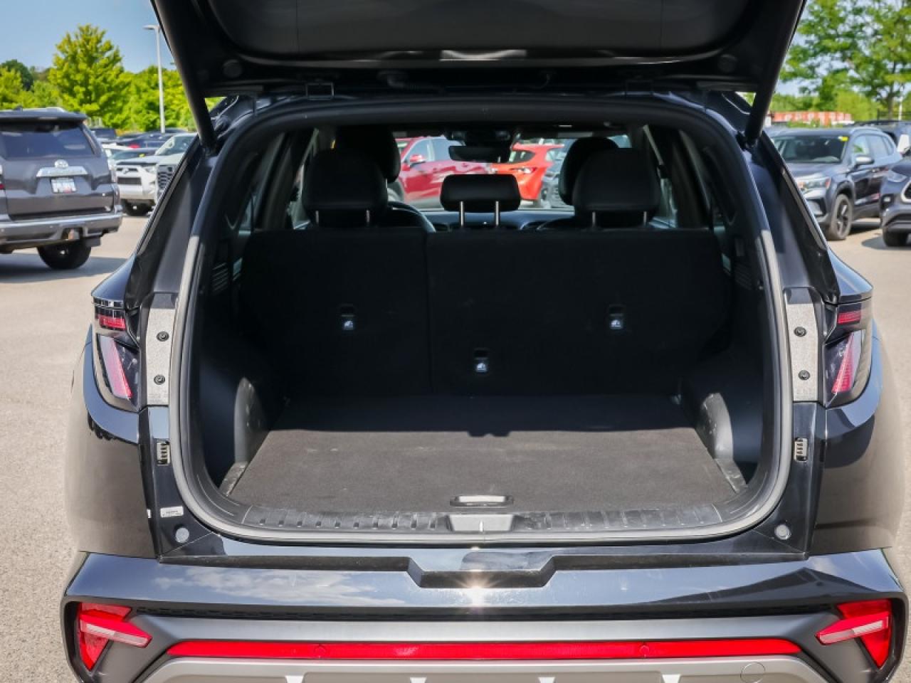 2024 Hyundai Tucson Hybrid N-Line  - Sunroof -  Cooled Seats - $247 B/W Photo