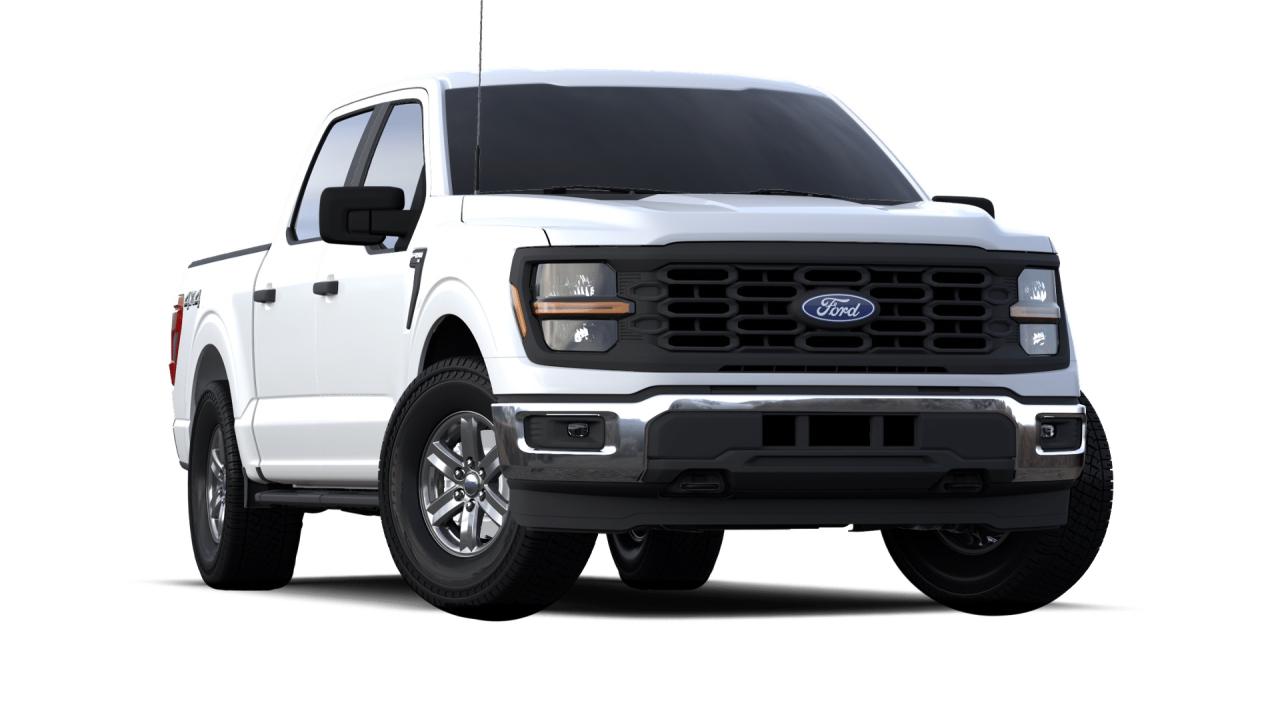 2024 Ford F-150 SUPERCREW 4X4 XL Photo3