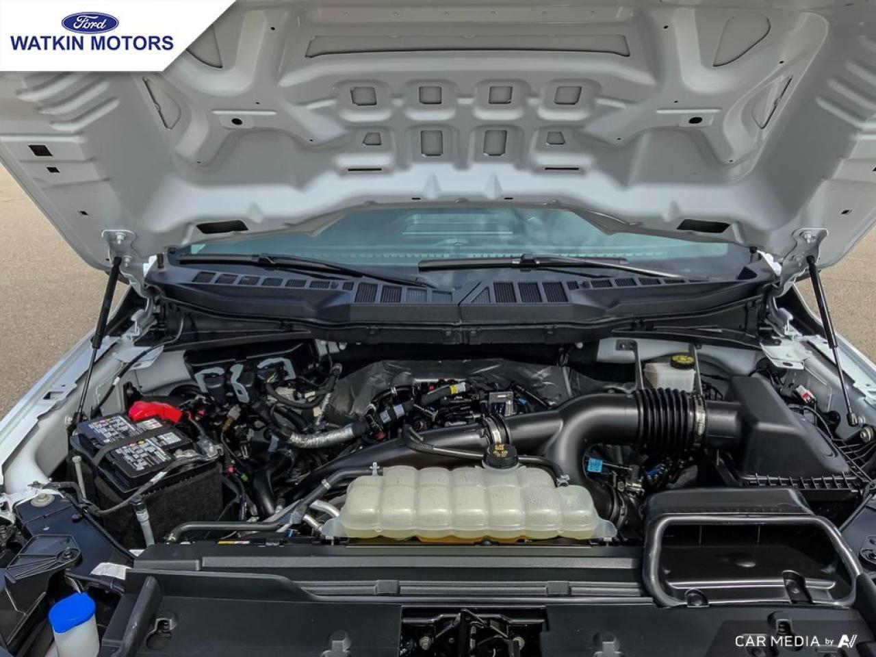 2024 Ford F-150 SUPERCREW 4X4 XL Photo12
