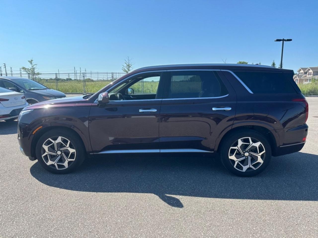 2021 Hyundai PALISADE PALISADE ULTIMATE CALLIGRAPHY - Photo #7