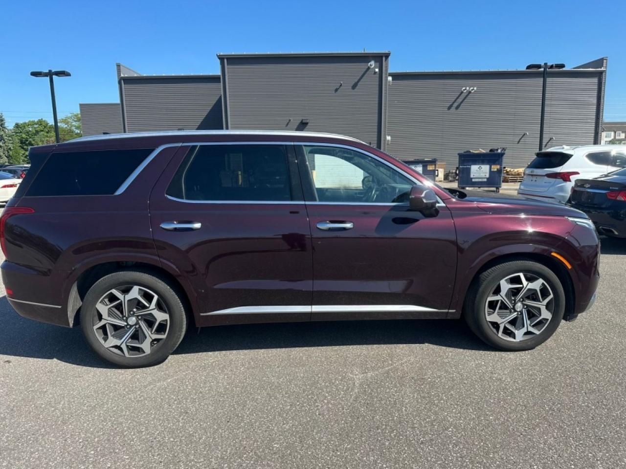 2021 Hyundai PALISADE PALISADE ULTIMATE CALLIGRAPHY - Photo #6
