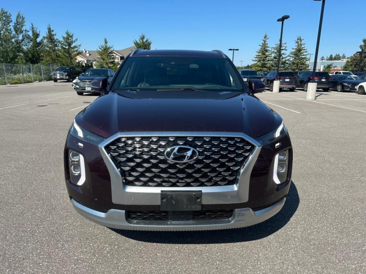 2021 Hyundai PALISADE PALISADE ULTIMATE CALLIGRAPHY - Photo #15
