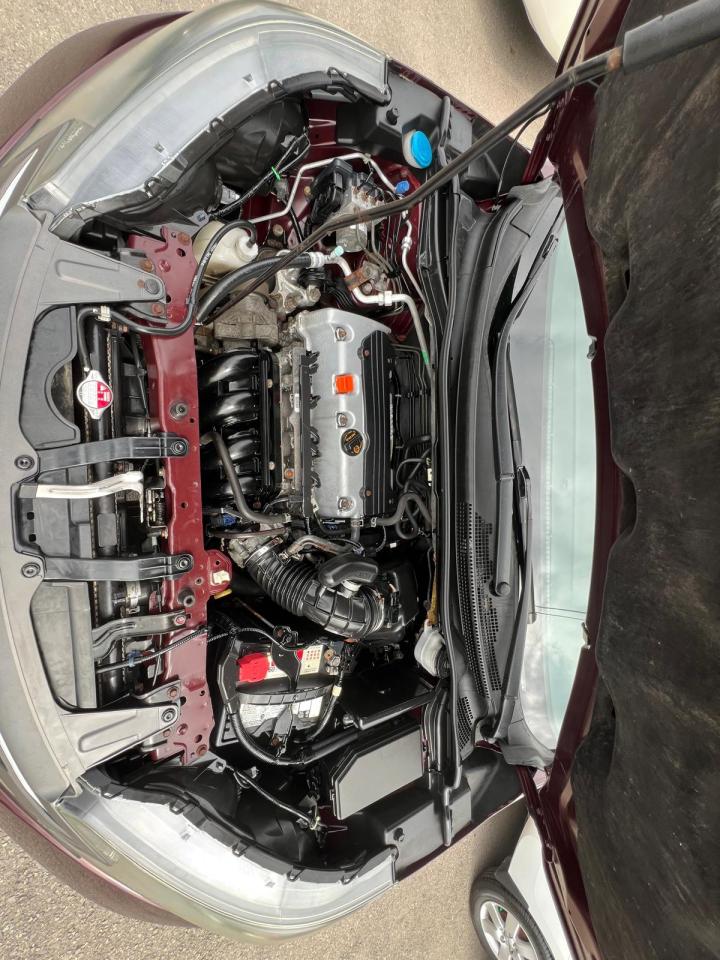 12800812