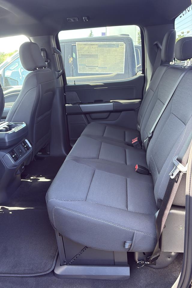 2025 Ford F-150 XLT Photo3