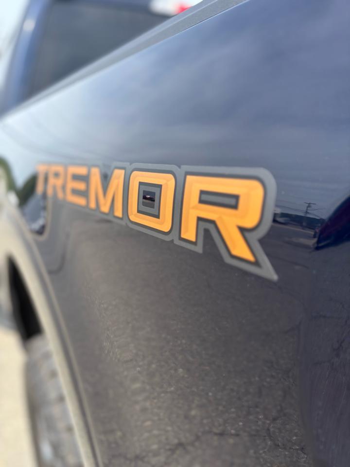 2025 Ford F-150 Tremor® Photo2