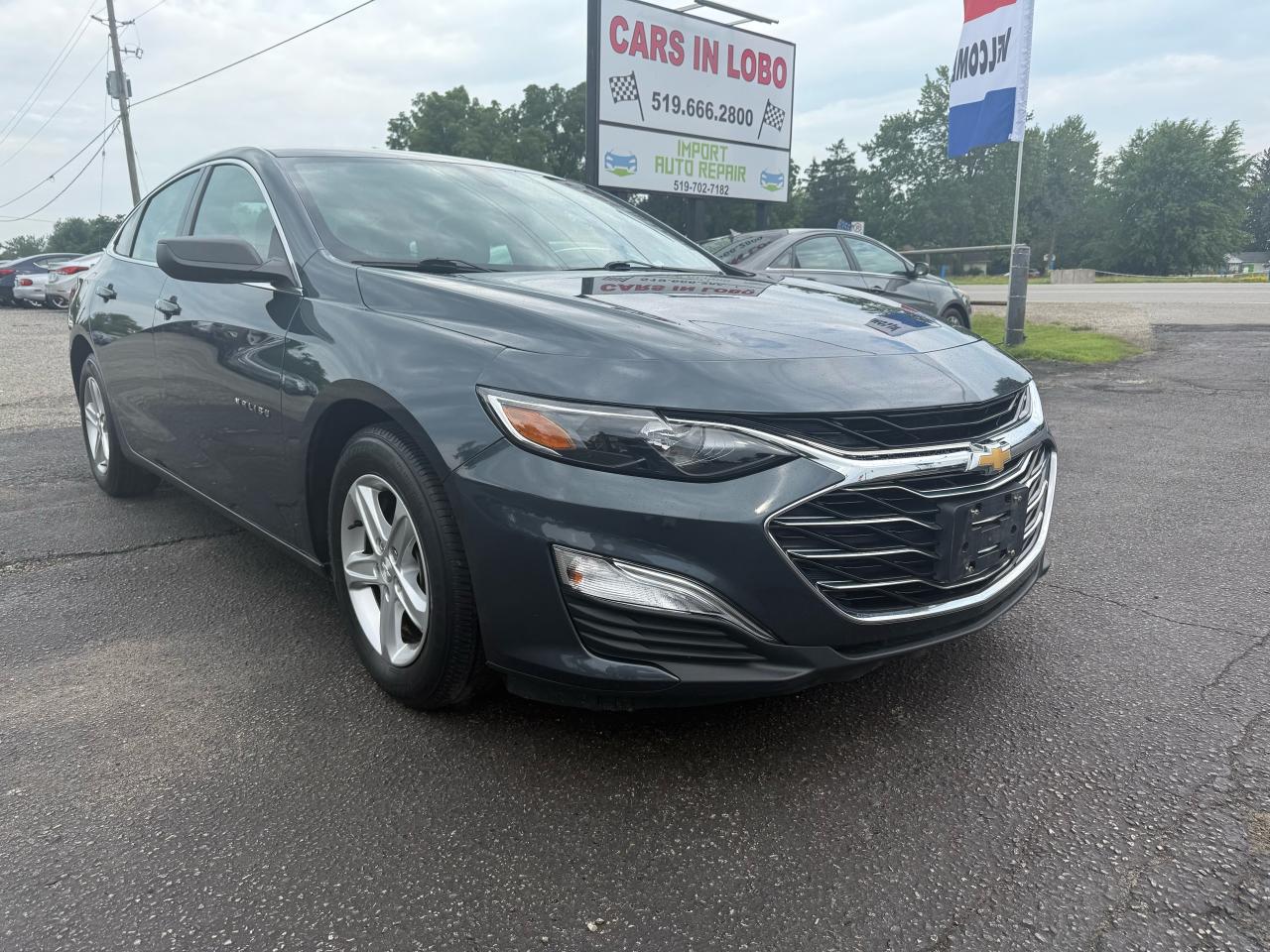 Used 2019 Chevrolet Malibu LS for sale in Komoka, ON