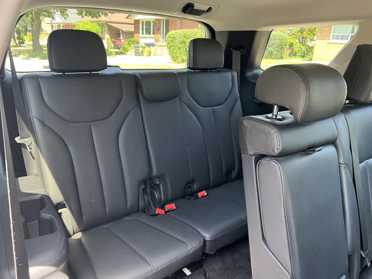 2020 Hyundai PALISADE LUXURY AWD - Photo #10