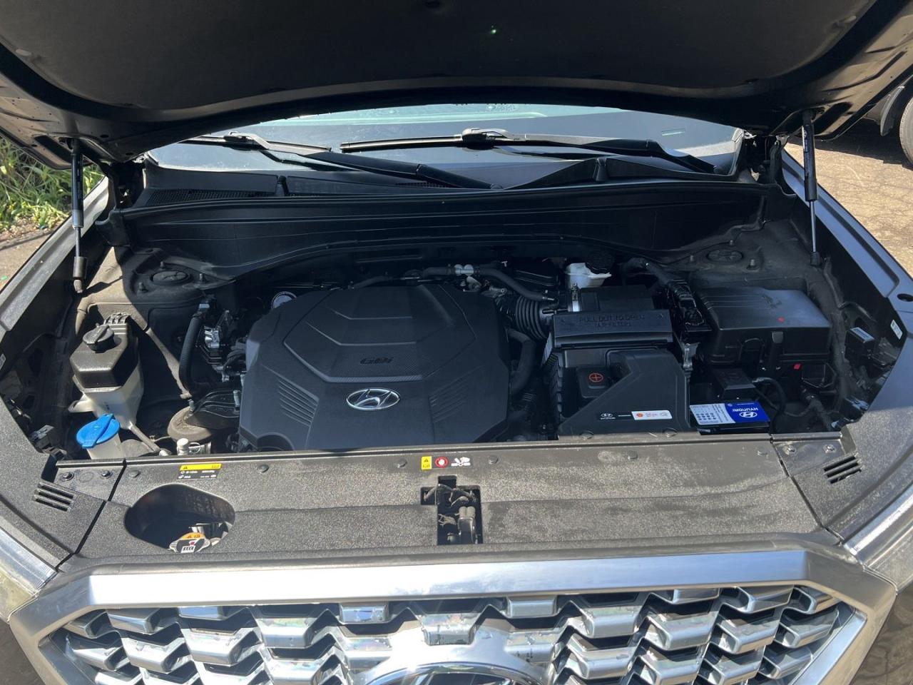 2020 Hyundai PALISADE LUXURY AWD - Photo #6