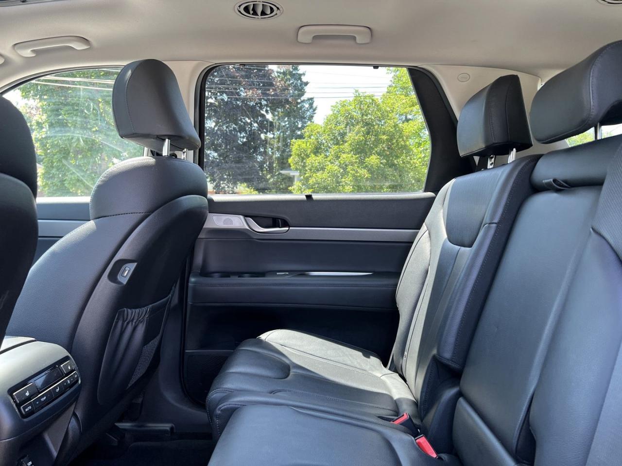 2020 Hyundai PALISADE LUXURY AWD - Photo #13