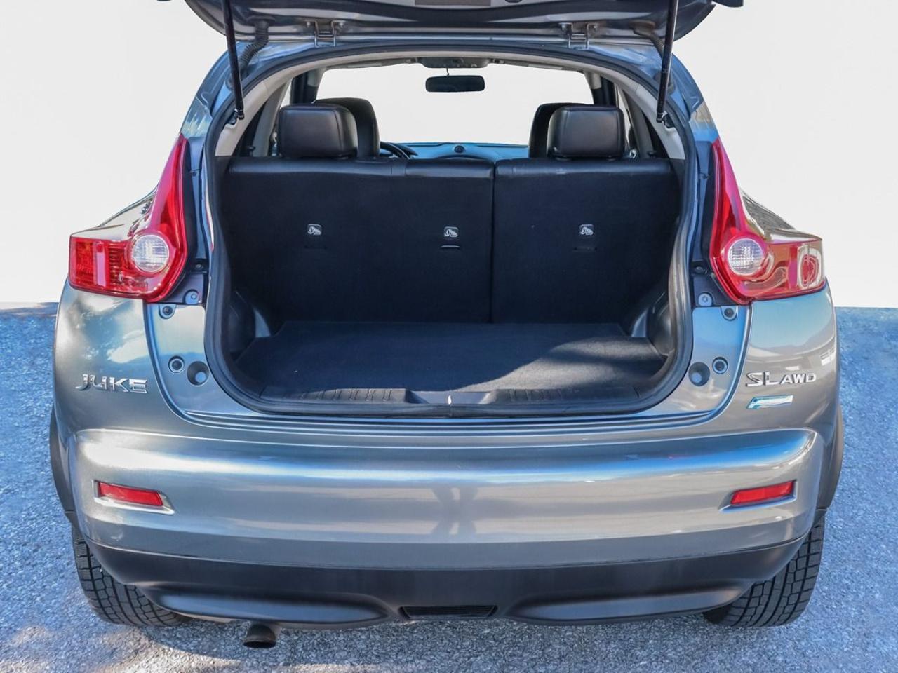 2014 Nissan Juke SL AWD Navigation Leather Rear-Camera Photo